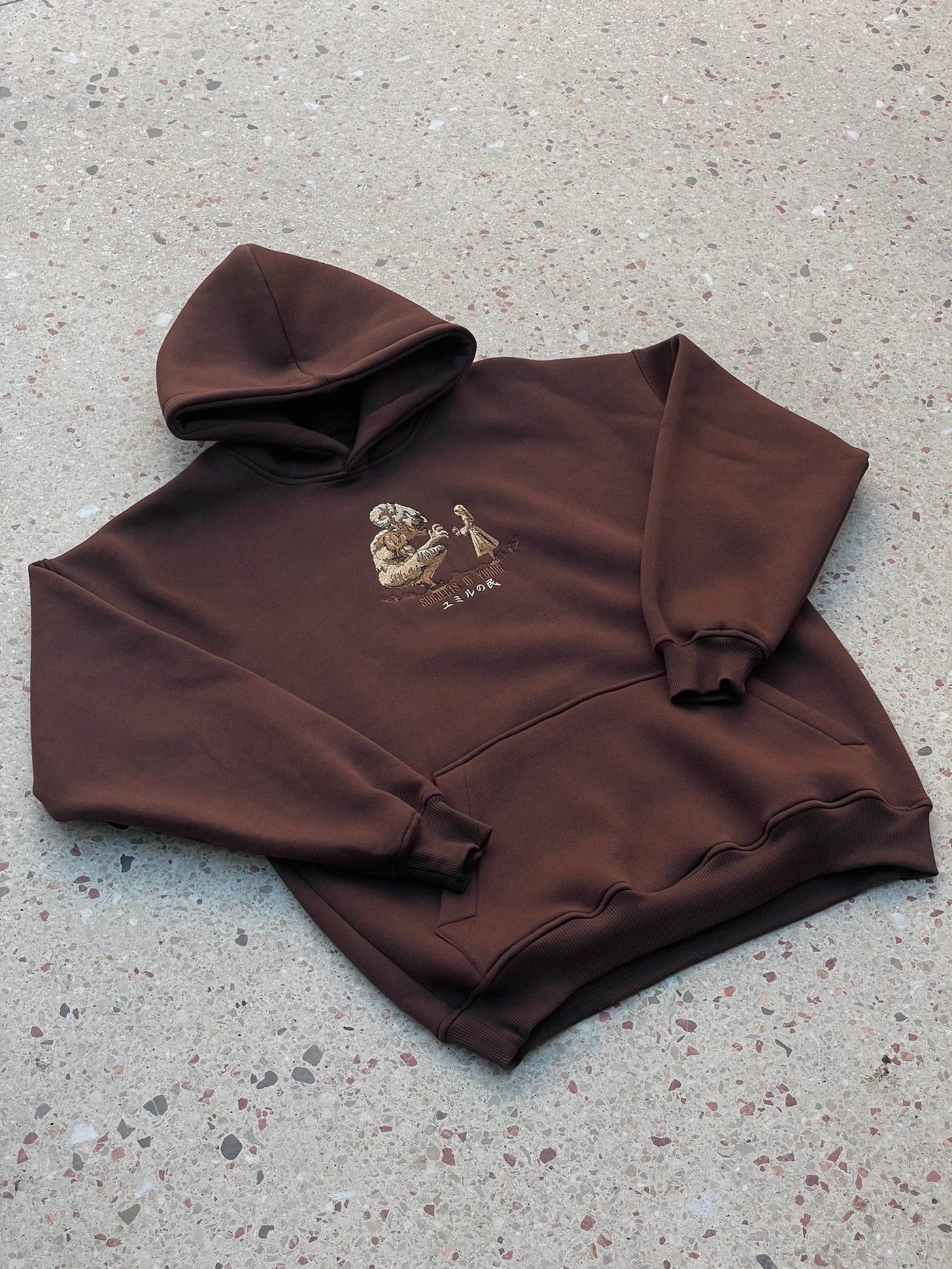 AOT "FOUNDERS" HOODIE